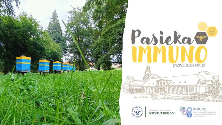Ruszył nowy projekt zespołu IMMUNO – „Pasieka IMMUNO” 