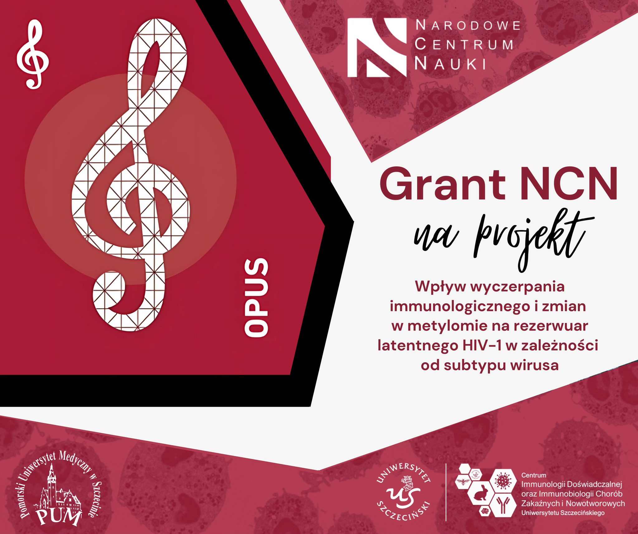 Centrum Immunologii Uniwersytetu Szczecińskiego z prestiżowym grantem OPUS&hellip;
