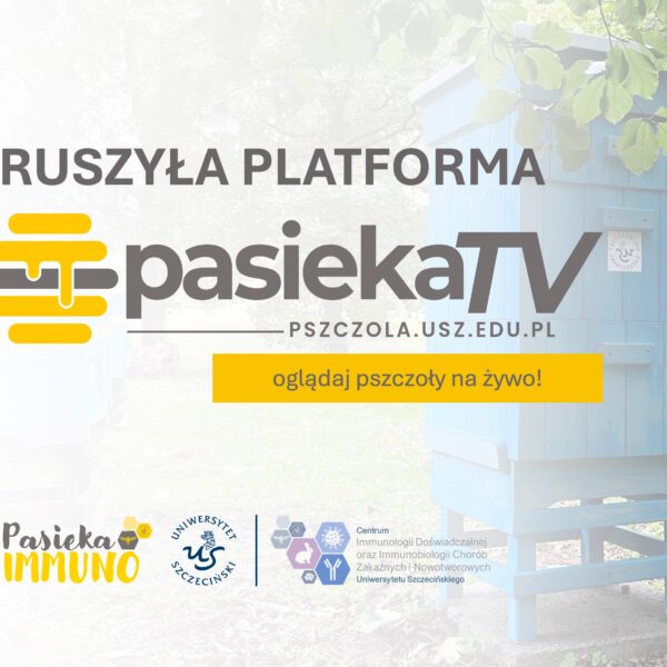 Platforma PASIEKA TV już dostępna! Obserwuj życie pszczół na żywo!