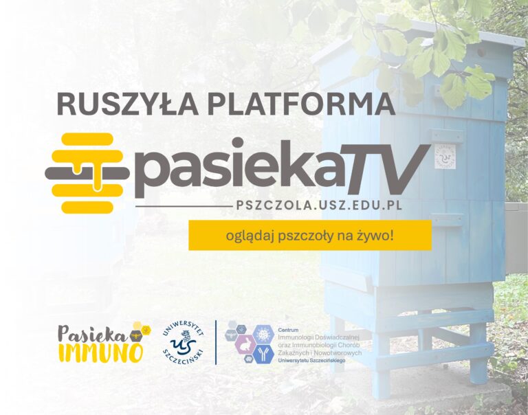 Platforma PASIEKA TV już dostępna! Obserwuj życie pszczół na żywo!