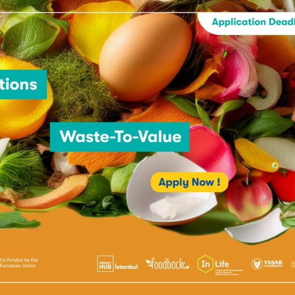 𝗪𝘆𝗸𝗼𝗿𝘇𝘆𝘀𝘁𝗮𝗻𝗶𝗲 𝗼𝗱𝗽𝗮𝗱𝗼́𝘄 𝘀𝗽𝗼𝘇̇𝘆𝘄𝗰𝘇𝘆𝗰𝗵: 𝘀𝘁𝘂𝗱𝗲𝗻𝗰𝗶𝗲, 𝗽𝗼𝗱𝗲𝗷𝗺𝗶𝗷 𝘄𝘆𝘇𝘄𝗮𝗻𝗶𝗲!