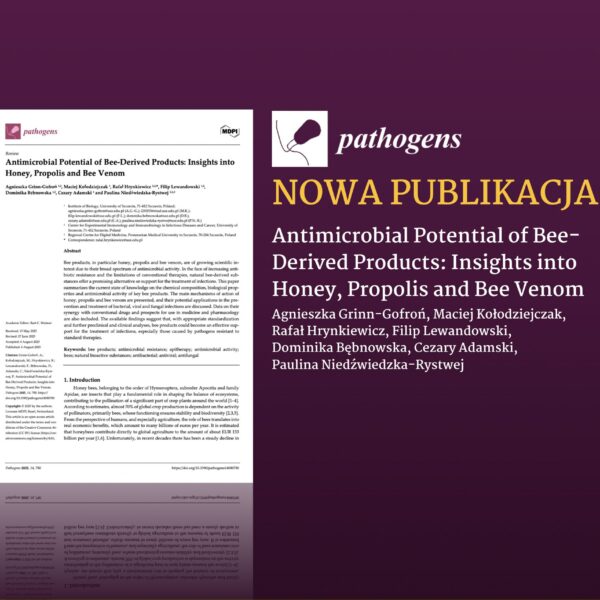 Antimicrobial Potential of Bee-Derived Products: Insights into Honey, Propolis and Bee Venom – nowe spojrzenie na właściwości przeciwdrobnoustrojowe produktów pszczelich