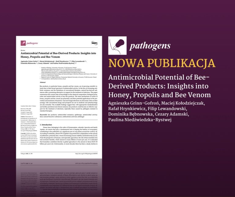 Publikacja Rafała Hrynkiewicza i Filipa Lewandowskiego i Pauliny Niedźwiedzkiej-Rystwej o właściwościach przeciwdrobnoustrojowych miodu, propolisu i jadu pszczelego