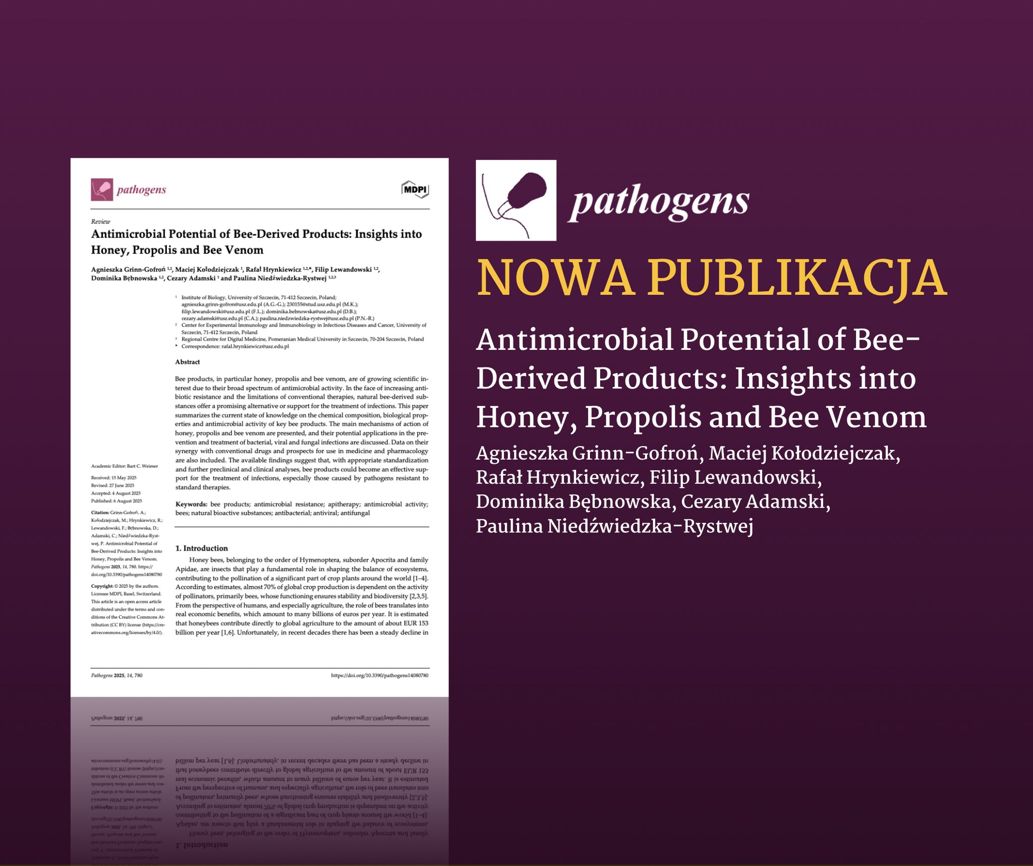 Publikacja Rafała Hrynkiewicza i Filipa Lewandowskiego i Pauliny Niedźwiedzkiej-Rystwej o właściwościach przeciwdrobnoustrojowych miodu, propolisu i jadu pszczelego