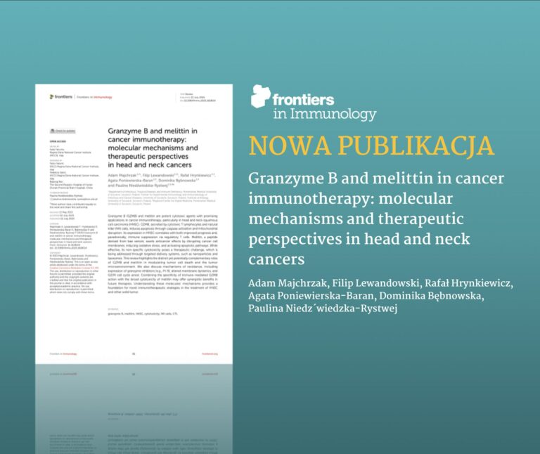 Granzyme B and melittin in cancer immunotherapy: molecular mechanisms and therapeutic perspectives in head and neck cancers
