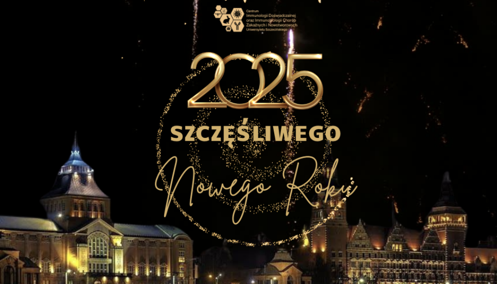 Zrzut-ekranu-2024-12-31-o-14.51.12