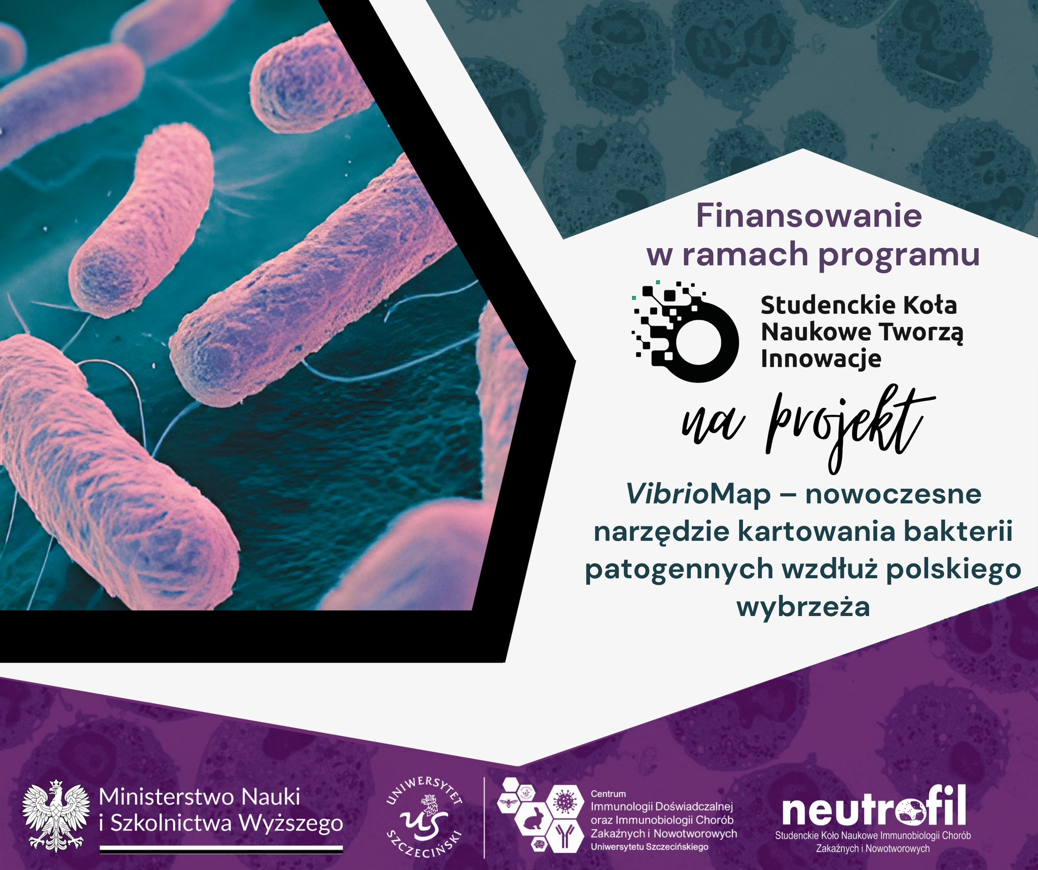 70 000 zł na badania nad bakteriami Vibrio&hellip;