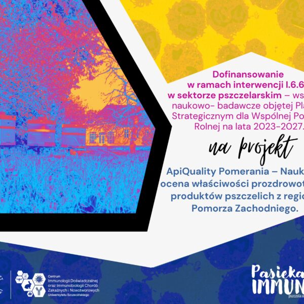Dofinansowanie na badania nad jakością miodu i produktów pszczelich w Pomorzu Zachodnim