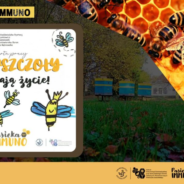 „Pszczoły dają życie!” – nowa karta pracy edukacyjnej o pszczołach