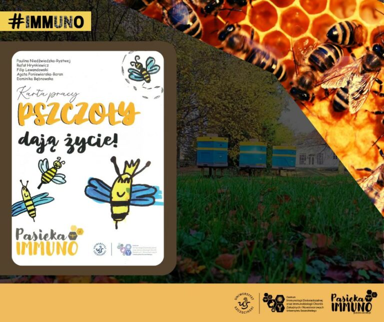 „Pszczoły dają życie!” – nowa karta pracy edukacyjnej o pszczołach