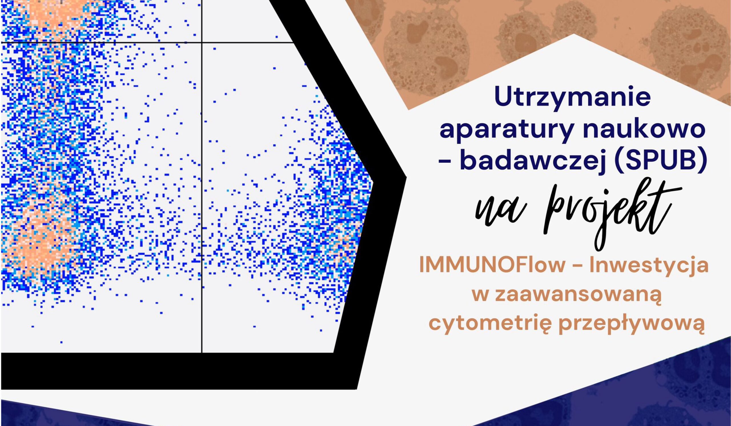 IMMUNOflow
