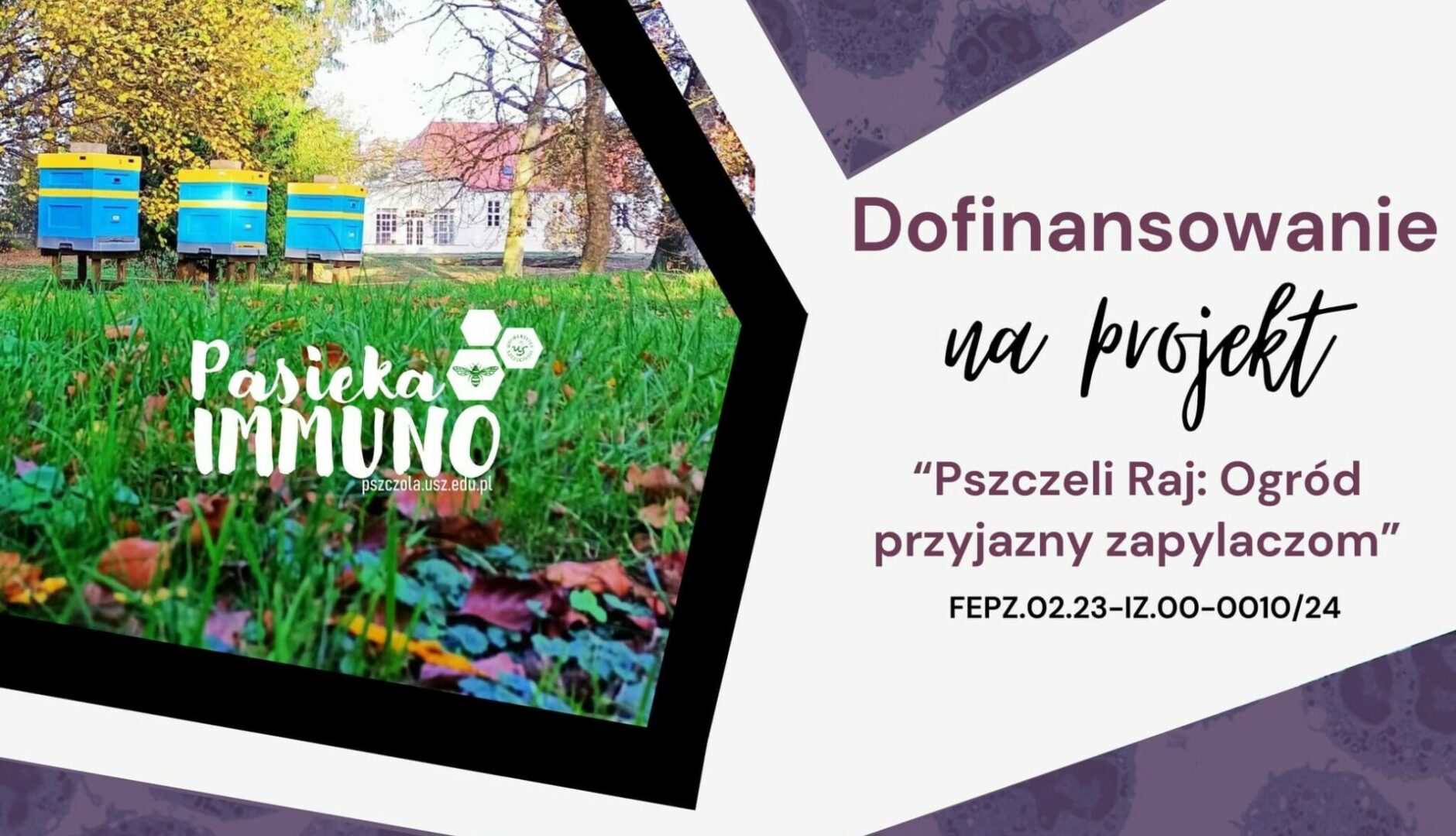 projekt-pszczeli-raj-ogrod-przyjazny-zapylaczom