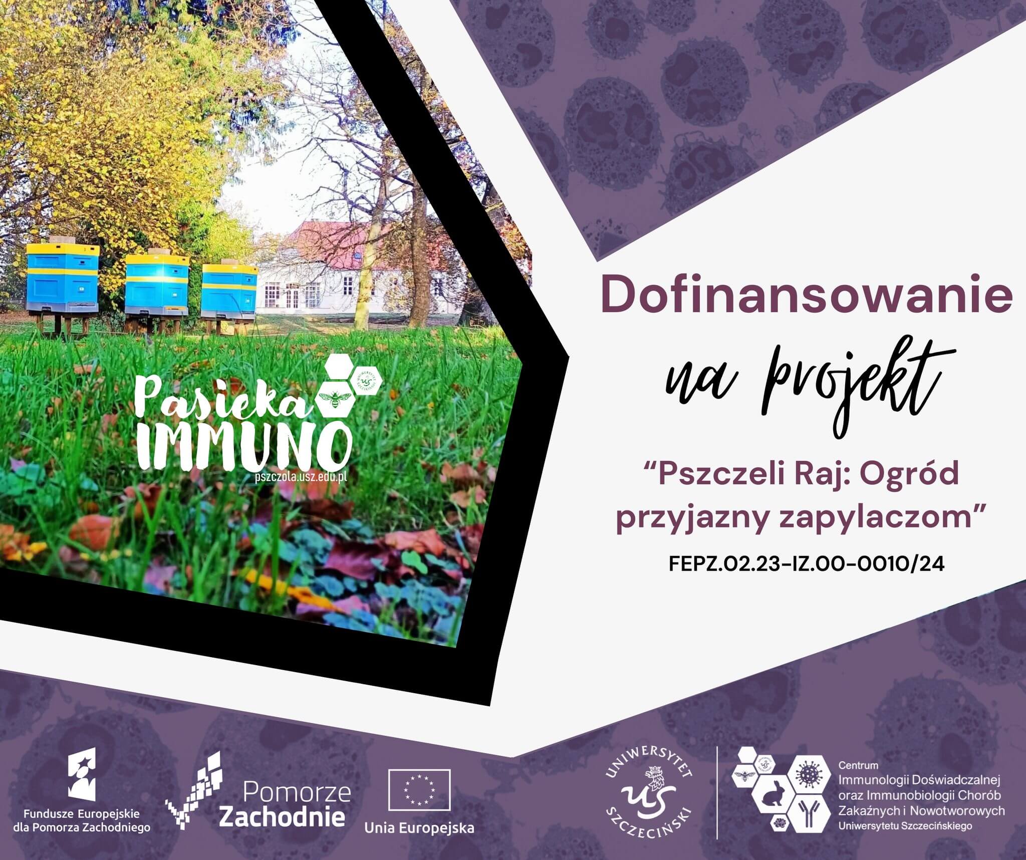 projekt-pszczeli-raj-ogrod-przyjazny-zapylaczom